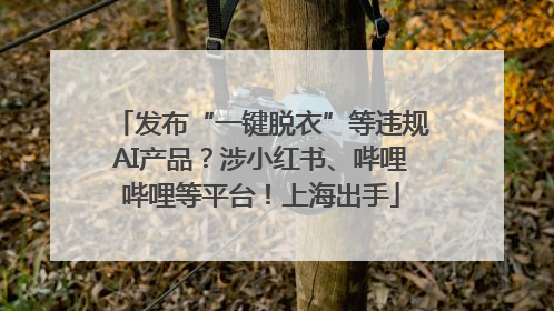 发布“一键脱衣”等违规AI产品？涉小红书、哔哩哔哩等平台！上海出手
